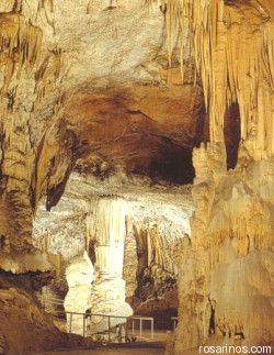 Gruta de Postojna, en 180 años fue visitada por 25 millones de personas aproximadamente.