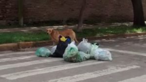 IMG_20160426_130937957