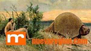 HISTORIA INDIGENEAS CAZAN ARMADILLO