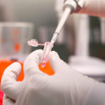 Quién quiere vivir por siempre: la carrera de China para conquistar la inmortalidad