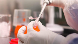 LABORATORIO TOMA DE MUESTRAS GENETICA