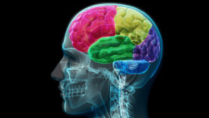 5576417cc46188d05d8b4573