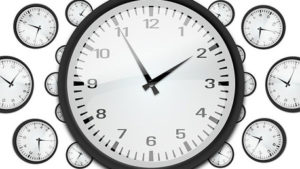 55916f1fc46188d0598b4581