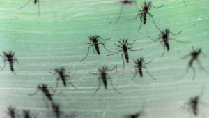 55bfed7ec4618810798b45b2