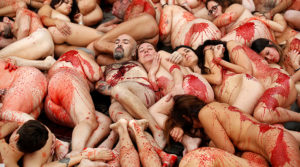 Activistas-de-Anima-Naturalis-Protesta-del-16-diciembre-2018-