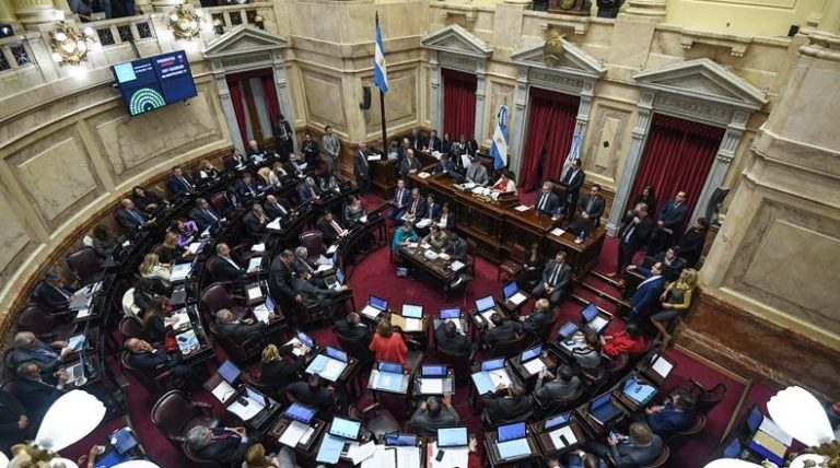 El Senado convirtió ley el Plan de los 1.000 Días de asistencia a niños y niñas