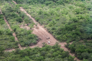 DESMONTES-ILEGALES-EN-SALTA-2