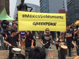 Marcha-mundial-contra-Monsanto