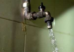 AGUA CANILLA