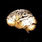 Efemérides 22 de Julio: Día Mundial del Cerebro Carrera Renta Dillinger FMI Butrón Dafoe Puig Selena Eclipse Efemérides 22 de Julio: Día Mundial del Cerebro Carrera Renta Dillinger FMI Butrón Dafoe Puig Selena Eclipse