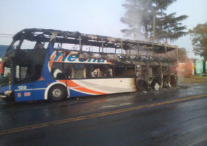 colectivo2