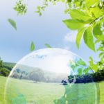 Declaración del Partido Humanista Internacional  con motivo del Día Mundial del Medio Ambiente