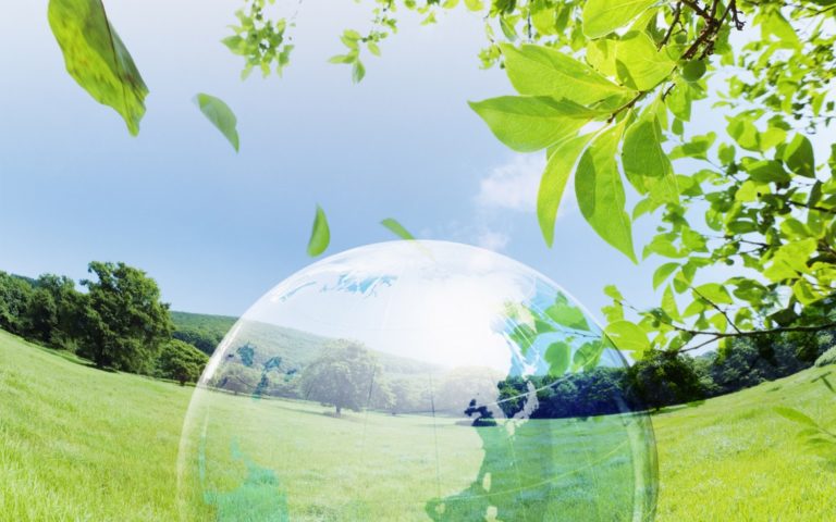 Declaración del Partido Humanista Internacional  con motivo del Día Mundial del Medio Ambiente