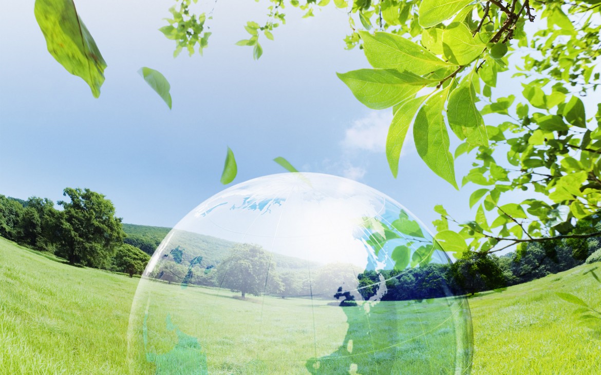 Declaración del Partido Humanista Internacional con motivo del Día Mundial del Medio Ambiente Declaración del Partido Humanista Internacional con motivo del Día Mundial del Medio Ambiente