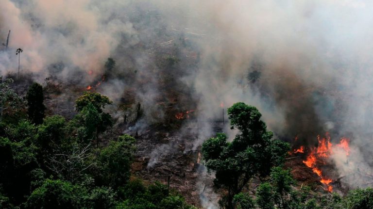 Documentos filtrados muestran que Bolsonaro tiene planes devastadores para el Amazonas