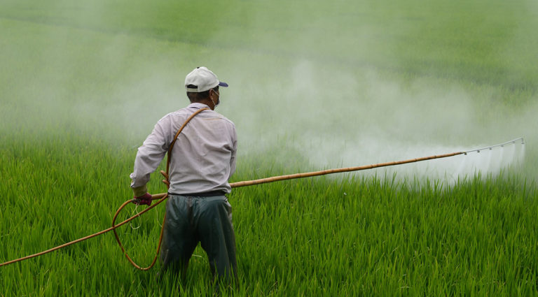 Agrotóxicos: Glifosato y Arsénico, un dúo peligroso