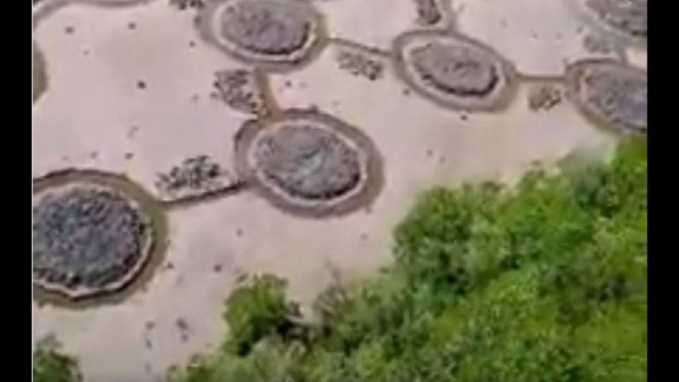 Video: Qué es esto? misteriosas Marcas? Señales? Ruinas? Restos Naturales? a la vista tras la bajante histórica de un río