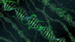 Nace el primer bebé en Reino Unido con ADN de 3 personas. ¿No más enfermedades genéticas? Nace el primer bebé en Reino Unido con ADN de 3 personas. ¿No más enfermedades genéticas?