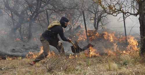 Aprobaron el proyecto que prohíbe por 60 años la venta de terrenos incendiados