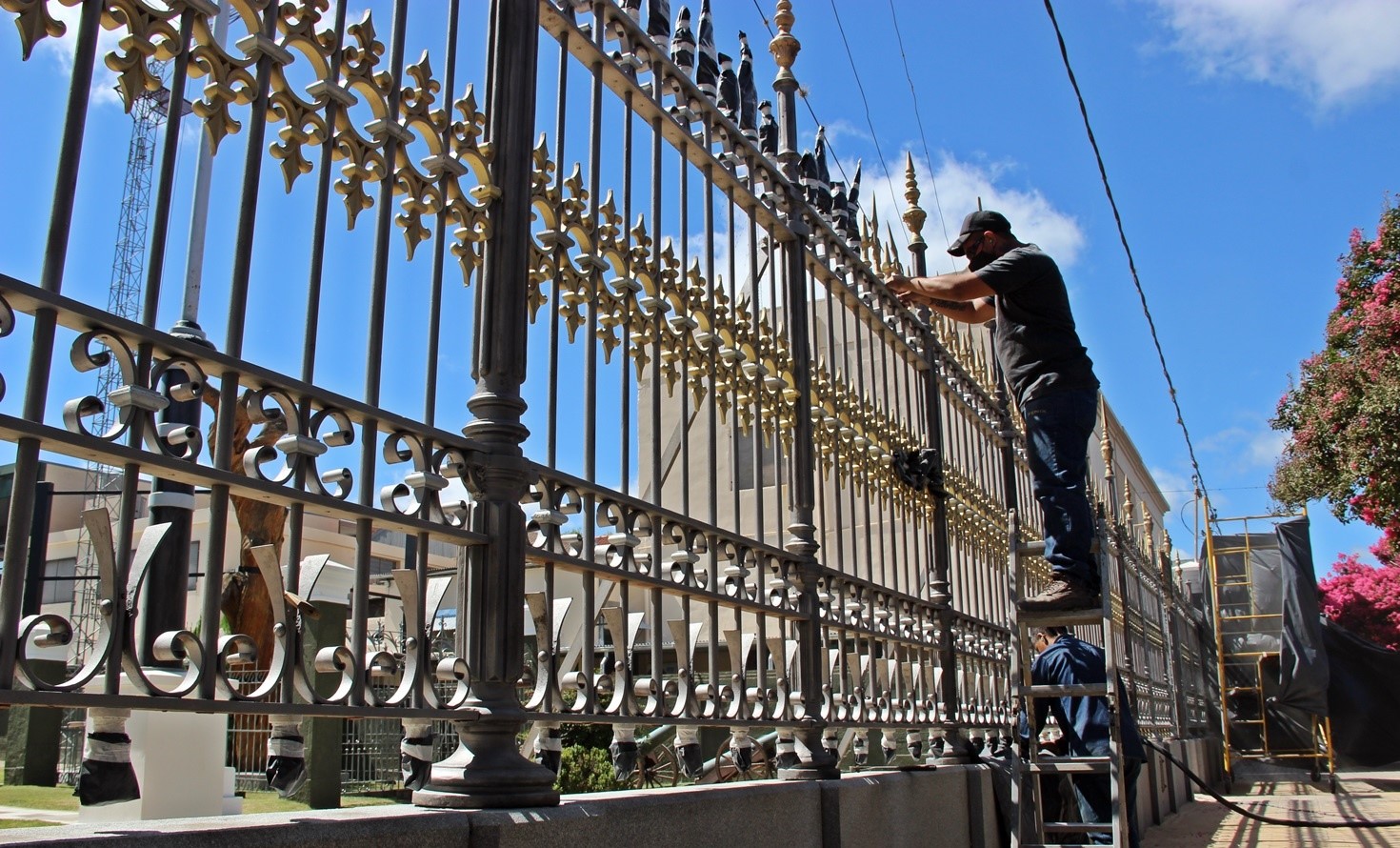 La Municipalidad de San Lorenzo restaura la reja del Pino Histórico