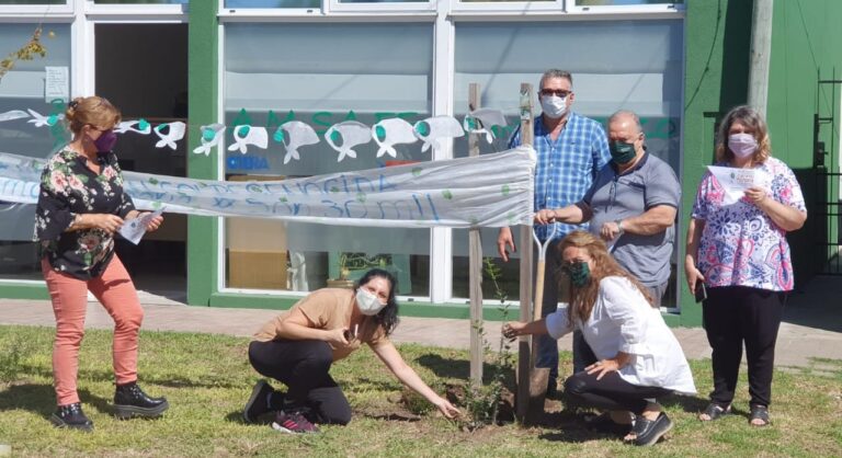 AMSAFE informa: Agenda 2021. Horas Cátedra. Resoluciones Votadas. Plantamos Memoria.