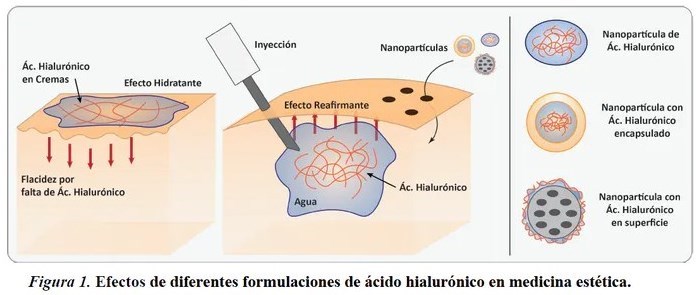 Acido Hialurónico: ¿Qué tan reales son sus efectos contra el envejecimiento?