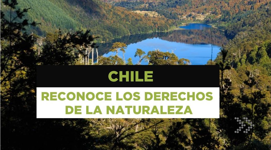 Chile incluye la protección del Medio Ambiente en su nueva Constitución