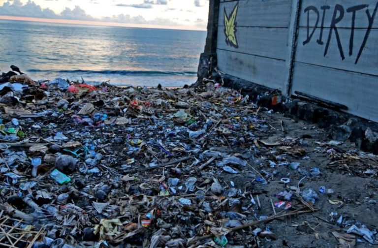 Ocho países de América Latina se unen contra la basura marina