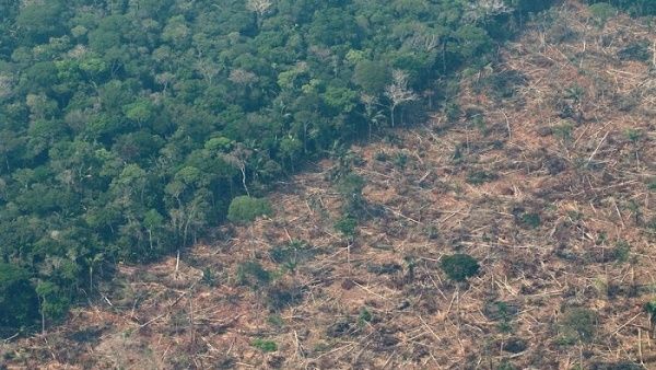 Basta Bolsonaro: Nuevo récord de deforestación en Amazonía