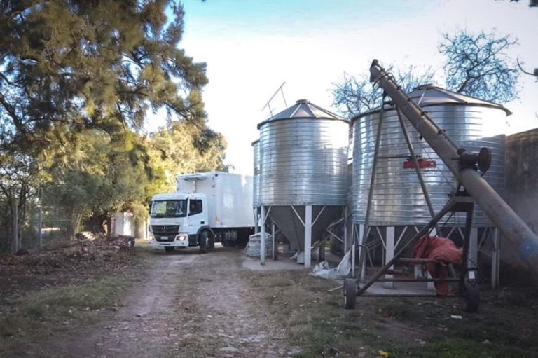 Producir alimentos sanos y a precios justos es soberanía alimentaria