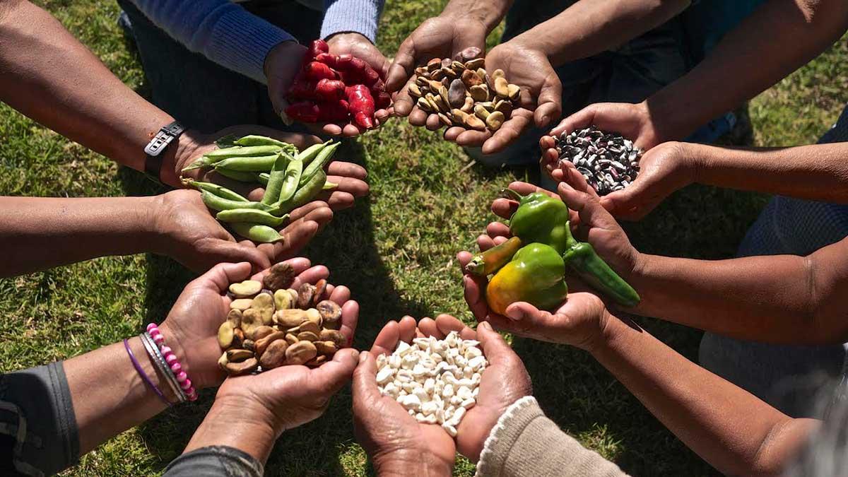 ¿Nueva crisis alimentaria mundial en el siglo XXI?