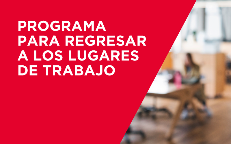 Returnships: ¿Qué son los programas de regreso al trabajo y cómo funcionan?