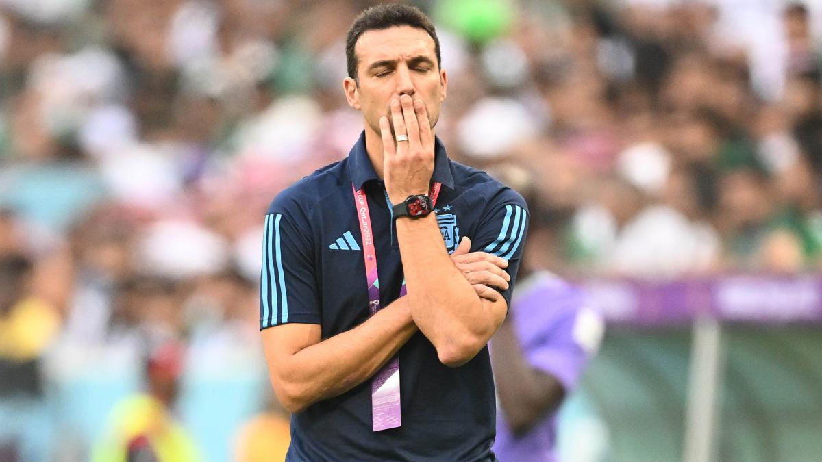 Mundial 2022: Scaloni «Cabeza arriba y a seguir, esto recién comienza»