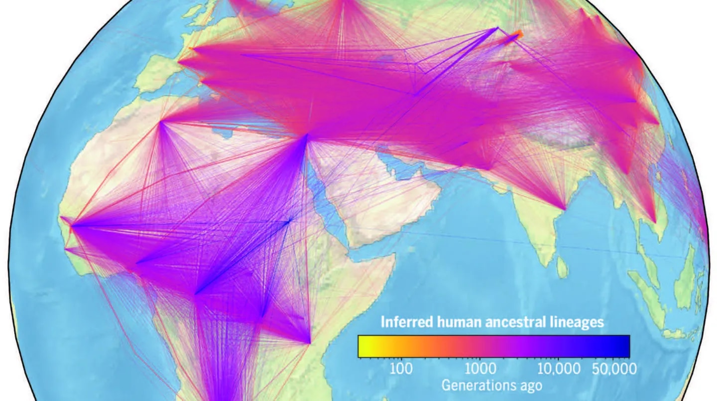 Amplían el árbol genealógico humano y revelan la historia de nuestra especie