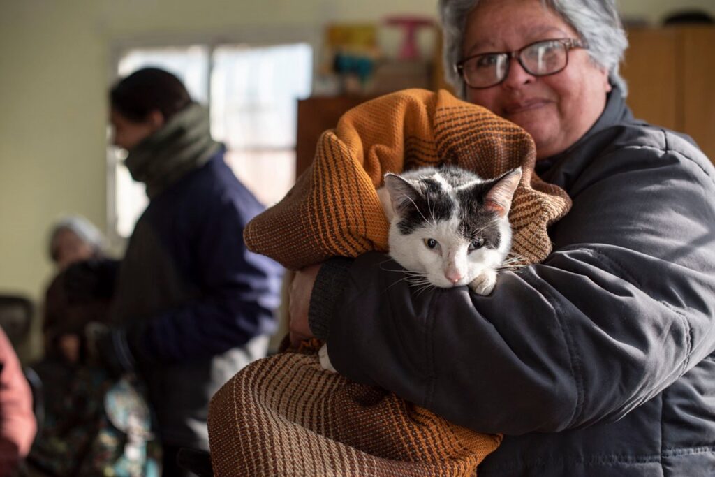 Durante este año la Municipalidad de San Lorenzo castró a 5.200 perros y gatos