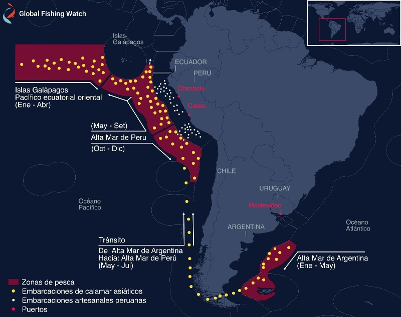 La voraz demanda china por el calamar en aguas sudamericanas