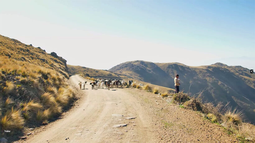 «Sin agua no hay membrillo». Estreno