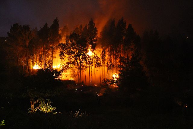 Día Internacional del Bombero Forestal: ¿Por qué se conmemora el 4 de mayo?