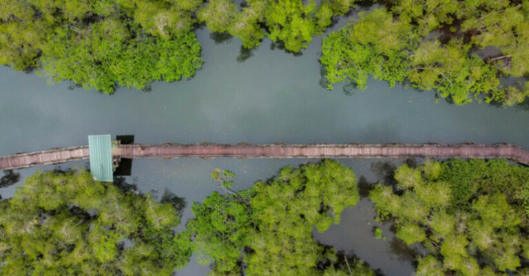 Unesco declara áreas de Colombia y Perú como reservas de biosfera