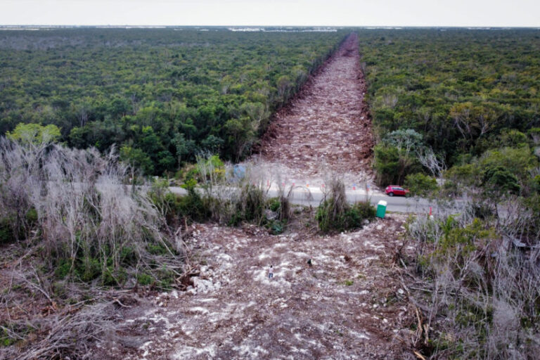 Condenan al Estado mexicano a suspensión inmediata del Tren Maya