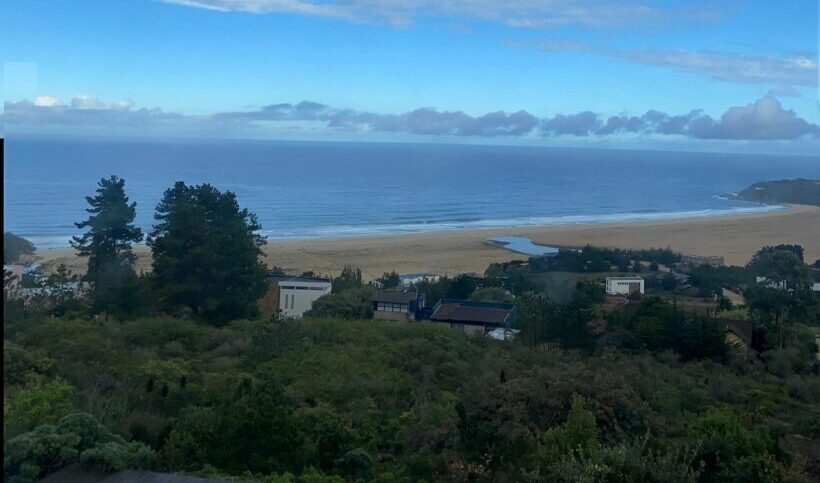 Gobierno chileno declara Santuario de la Naturaleza la playa sur Tunquén, completando protección de la totalidad del ecosistema