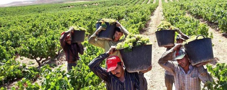 8 de octubre: Día del Trabajador Rural