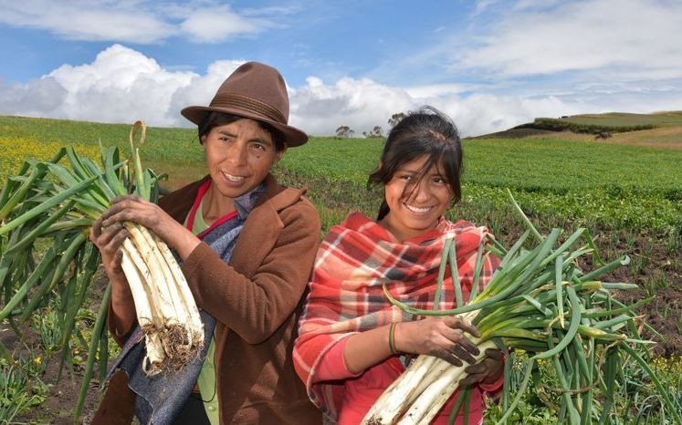 15 de octubre: Día Internacional de las Mujeres Rurales