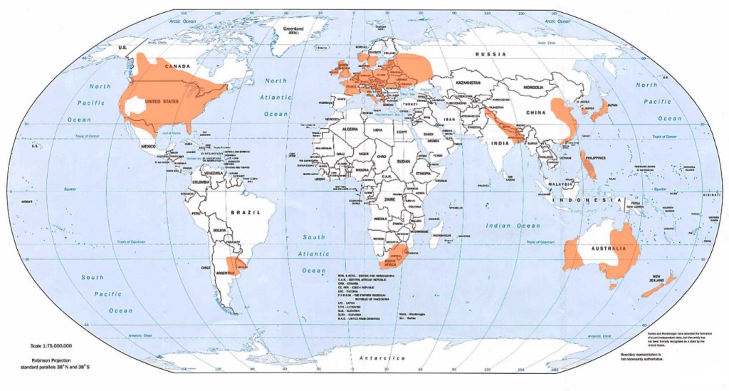 TORNADOS EN EL MUNDO