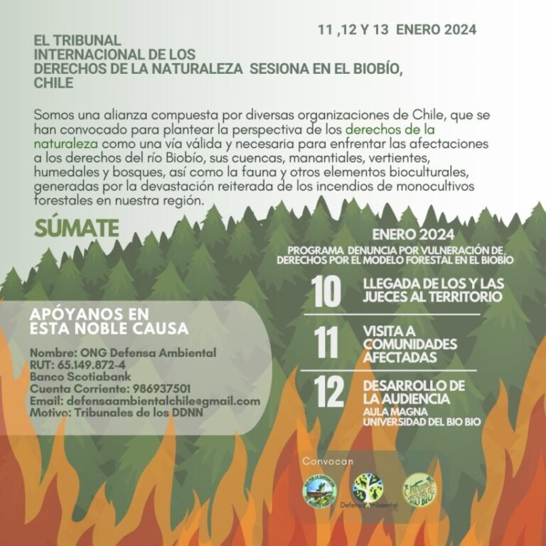 Tribunal Internacional de los Derechos de la Naturaleza sesionará en Biobío por modelo forestal y megaincendios de 2023