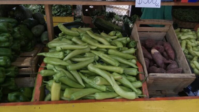 Presidente boliviano insta transformar ciclo agropecuario ante cambio climático