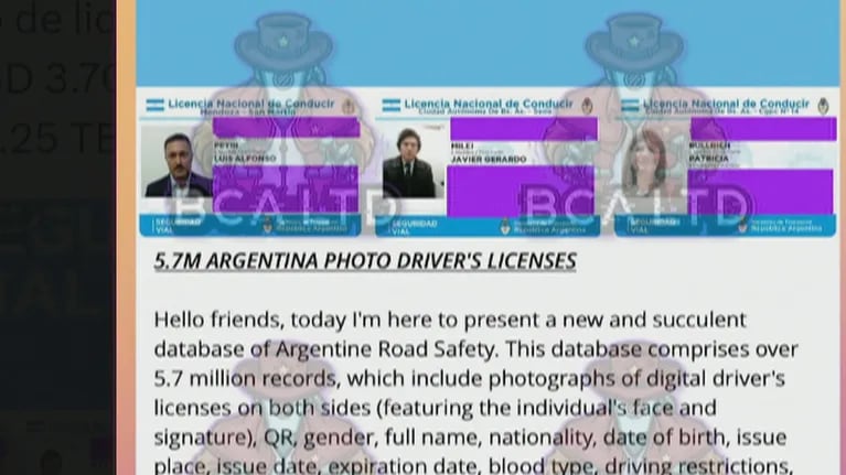 Hackers robaron los datos de las licencias de conducir de Argentina