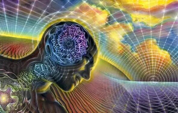 Yoga y otras prácticas liberan dosis de DMT al estimular la glándula pineal Yoga y otras prácticas liberan dosis de DMT al estimular la glándula pineal