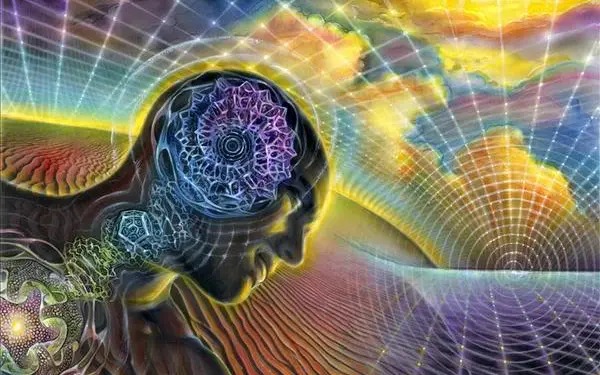 Yoga y otras prácticas liberan dosis de DMT al estimular la glándula pineal