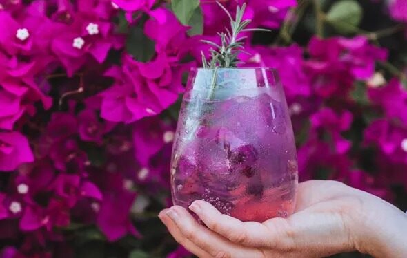 ¡Pá la calor! Agua de bugambilia con limón: bebida de temporada